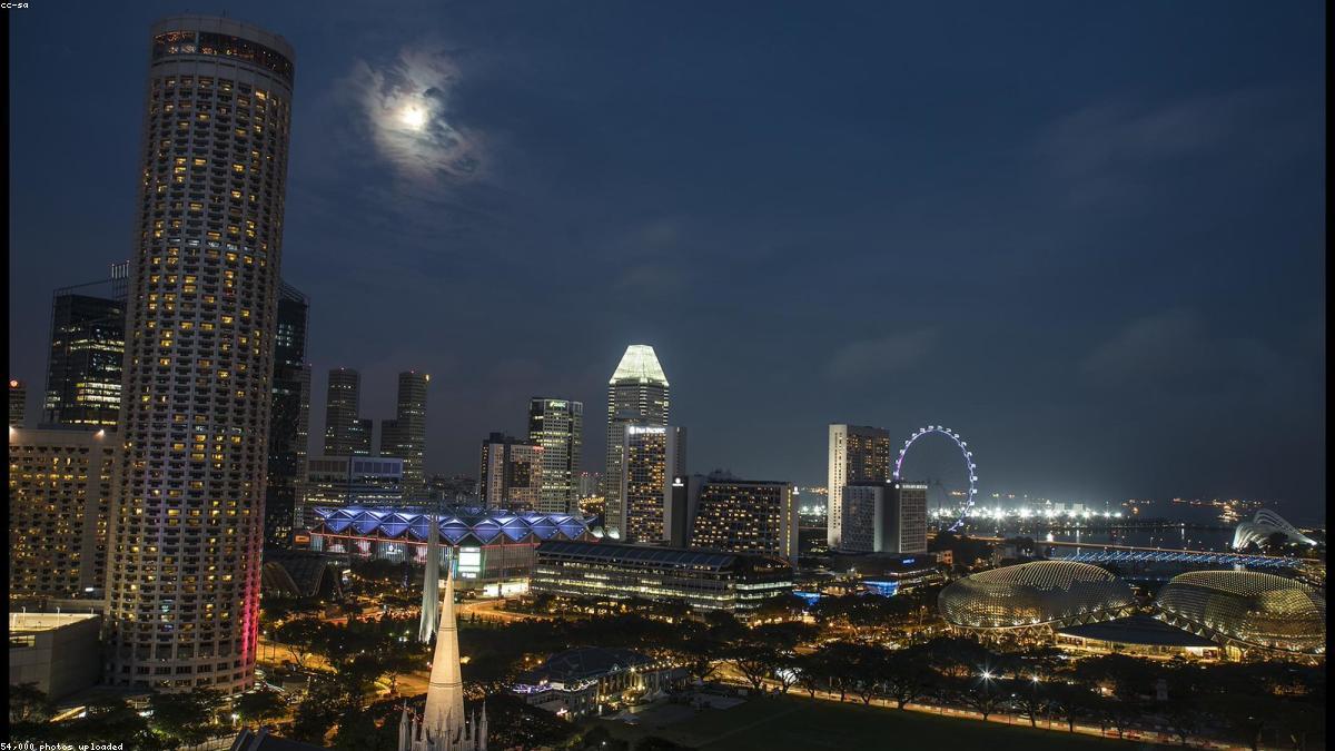 新加坡TT网 TTVIP 高端形象展示 gallery 二